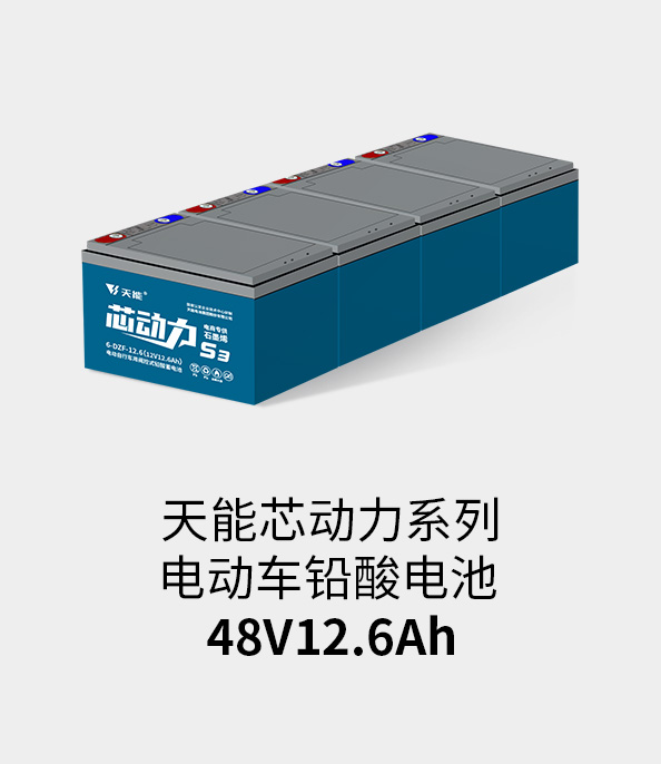 合樂HL8電池48v12ah