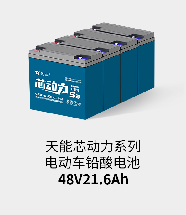 合樂HL8電池48v20ah