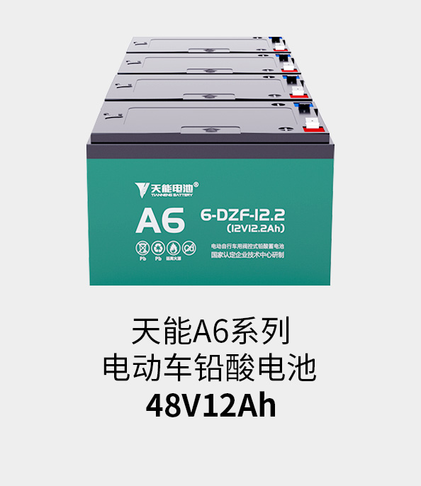 合樂HL8電池48v12ah