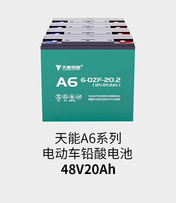 合樂HL8電池48v20ah