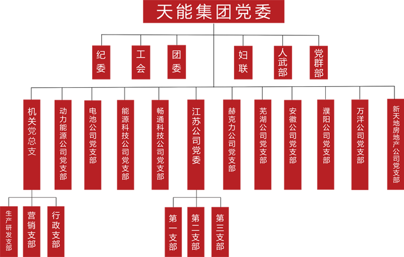 合樂HL8建團(tuán)黨委組織架構(gòu)